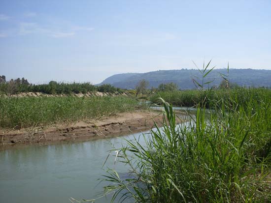 SDC13749