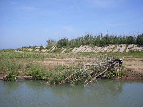 SDC13752