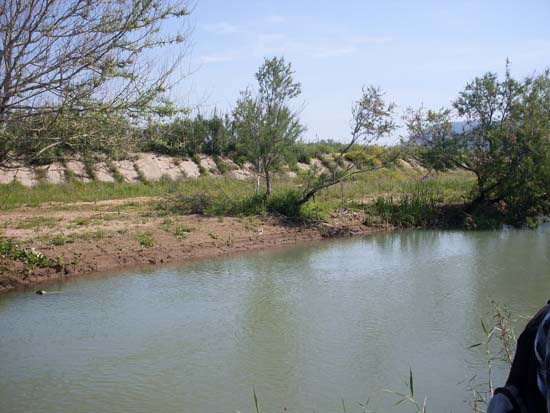 SDC13753