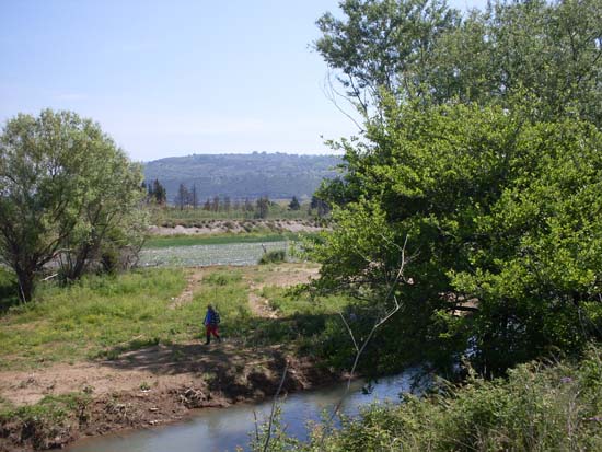 SDC13799