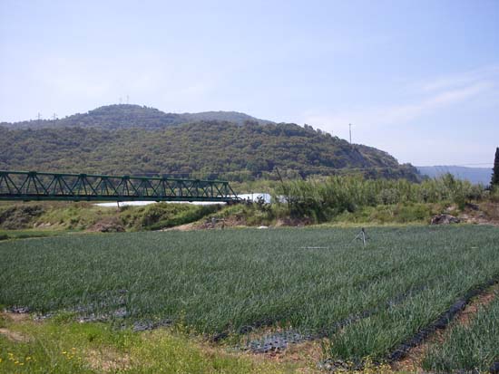 SDC13874
