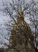 architwttura (6)
